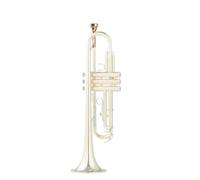Gold Plated Classic Shape 7C/5C Trumpet Mouthpiece Accessory for Beginner 3C Bach Puller 1C 4C 7C Accessories for Trumpet Alto Cornet with Case Ideal for Boquillas (5C)