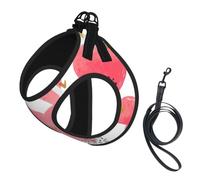 Gold Reds Heart Print Reflective No Choke Pet Vest Harness,Adjustable Soft Padded Dog Harness With Easy Control Handle