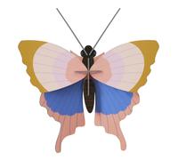 Gold Rim butterfly wall decoration Multicoloured one size