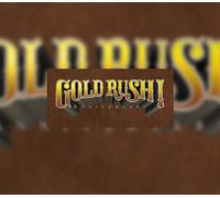 Gold Rush! Anniversary PC Steam CD Key