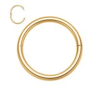 Gold Septum Hoop Ring - Half Closure Secure Hook Hinged Segment Clicker 16G Septum Ring Lip Jewellery Lobe Helix Piercing Daith Conch Tragus Rook Cartilage Hoop Earring 9mm