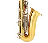 Gold Silver Eb Alto Saxophone For Beginners Adults Woodwind Instrument(Saxophone set)