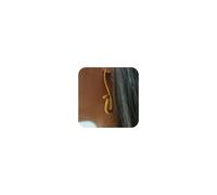 Gold Snake Earrings for Women Elegant Gold Snake Serpent Animal Earrings Costume Accessories (A3)