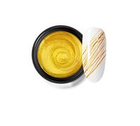 Gold Spider Gel Polish Kit Nail Spider Gel Paint For Nail Art Polish Thin Brush Spider Nail Gel Art Paint For Nails Uv Led Nail Polish Drawing Painting Black White Gel Nail Polish Kit