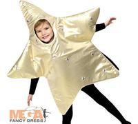 Christmas Star Costume