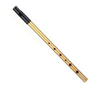 Gold Tin Whistle,Six-Hole Penny Whistles,D Whistles Irish Tin Whistle for Beginners Intermediate and Expert Band Performance