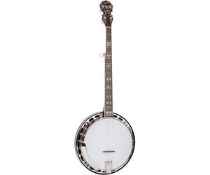 Gold Tone BG-150F Banjo