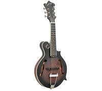 Gold Tone F-6 Guitar Mandolin