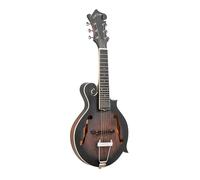 Gold Tone F-6 Guitar Mandolin