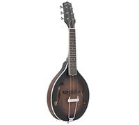 Gold Tone Guitar mandolin with A-style body and bag