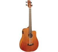 Gold Tone M-BASS25 Microbass with Gig Bag