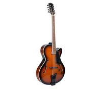 Gold Tone Mandocello Guitar+Pickup+Case