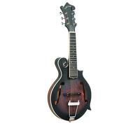 Gold Tone Mandolin Guitar+Pickup+Case