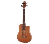 23" Acoustic-Electric Micro Bass with Gold Tone Bag