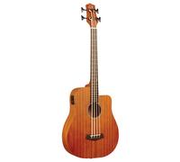 Gold Tone Micro Bass 25 w/Bag