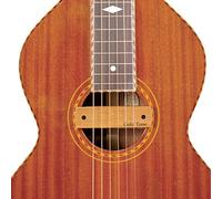 Gold Tone Weissenborn guitar pickup