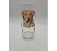 Goldador Glass Tumbler. Unique Gift Drinking Glass.