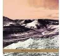 Goldberg / Schott / Sarin Trio - What Comes Before