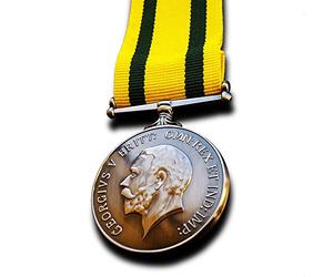 Goldbrothers13 Territorial Force War Medal Territorial Army Nursing Service TF WW1 British Copy