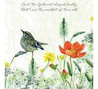Goldcrest Greeting Card by The little dog laughed