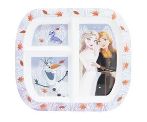 Golddunes Rectangular Divided Plate RESUSABLE Plastic 3 COMPARTMENTS (Frozen Autumn)