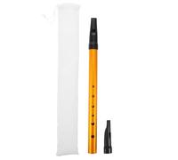 Golden 6-hole D Key Tin Whistle for Irish Music Beginners | Recorder Mouthpiece, Cloth Bag Included, Aluminium Alloy Build, Vertical Flute Design for Learning Irish Music