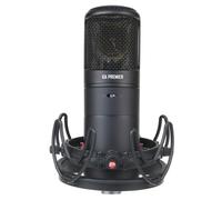 Golden Age Audio Premier GA-8000