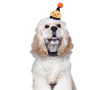 Golden Apple Halloween Pet Hat and Scarf Set, Puppy Cat Pumpkin Hat Cute Lace Polka Dot Tutu Neck Ornament Neckerchief Bandana
