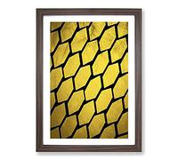 Golden Beehive Framed Print | A2 Walnut Framed Wall Art | Ready to Hang | Modern Nature Picture | Living Room Bedroom Lounge Office