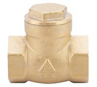 Golden Brass One Way Female Thread Swing Check
