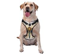 Golden Delicate Dragonfly on Yellow Background Large Printed pet Traction Vest for Pets to wear When Walking The Dog or Climbing Mountains