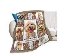 Golden Doodle Dog Blanket Goldendoodle Decor Throw Blanket Warm Soft Plush Lightweight Fleece Flannel Cute Animals Blanket Gifts for Dog Lovers Girls Boys Women Men for Winter Couch Bedding 40"X50"