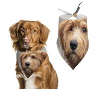Golden Doodle in Heavy Rain Bandanas for Dogs Triangle Pet Bibs