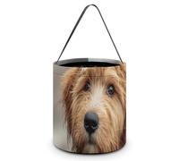 Golden Doodle in Heavy Rain Halloween Tricking Or Treating Bag
