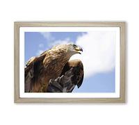 Golden Eagle Bird Framed Print | A2 Oak Framed Wall Art | Ready to Hang | Modern Animal Picture | Living Room Bedroom Lounge Office