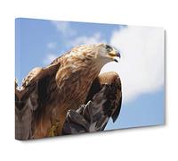 Golden Eagle Bird Modern Canvas Wall Art Print Ready to Hang, Framed Picture for Living Room Bedroom Home Office Décor, 24x16 Inch (60x40 cm)