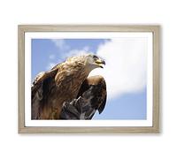 Golden Eagle Bird Modern Framed Wall Art Print, Ready to Hang Picture for Living Room Bedroom Home Office Décor, Oak A3 (46 x 34 cm)