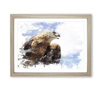 Golden Eagle Bird V3 Modern Framed Print | A4 Oak Framed Wall Art | Ready to Hang | Modern Animal Picture | Living Room Bedroom Lounge Office