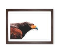 Golden Eagle in Abstract Framed Print | A2 Walnut Framed Wall Art | Ready to Hang | Abstract Animal Picture | Living Room Bedroom Lounge Office