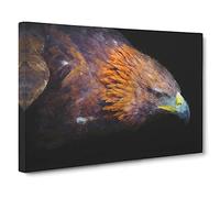 Golden Eagle Vol.3 Canvas Print | Gallery Wrapped 30mm Frame Wall Art | 30x20 inches | Ready to Hang | Modern Animals Picture | Living Room Bedroom Lounge Office