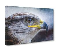 Golden Eagle Vol.4 Canvas Print | Gallery Wrapped 30mm Frame Wall Art | 30x20 inches | Ready to Hang | Modern Animals Picture | Living Room Bedroom Lounge Office