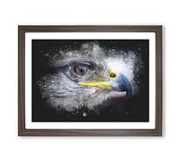 Golden Eagle Vol.4 Paint Splash Modern Art Framed Print | A3 Walnut Framed Wall Art | Ready to Hang | Modern Animal Picture | Living Room Bedroom Lounge Office