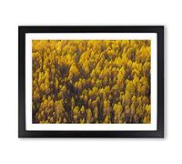 Golden Forest In Abstract Modern Art Framed Wall Art Print, Ready to Hang Picture for Living Room Bedroom Home Office Décor, Black A2 (64 x 46 cm)