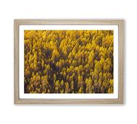 Golden Forest In Abstract Modern Art Framed Wall Art Print, Ready to Hang Picture for Living Room Bedroom Home Office Décor, Oak A3 (46 x 34 cm)