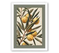 Golden Fruit Branch Botanical Framed Wall Art Print A3 (42×29.7cm) White, Wall Decor for Living Room, Bedroom, Office & Home, Ready to Hang, Art Gift