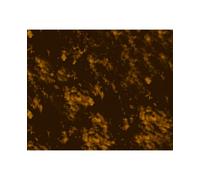 Golden Gate Acoustic Guitar Pickguard Material (F-4118)