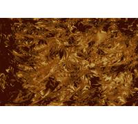 Golden Gate F-4112 Acoustic Guitar Pickguard Sheet, Mottled Tortoise