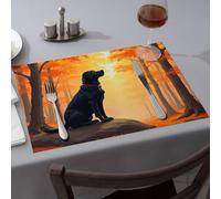 Golden Girls Gifts Black Dog Sitting On Rock In Autumn Forest Dining Place Mats Yellow Placemats Placemats(4PCS)