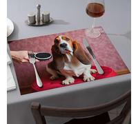 Golden Girls Gifts Grooming Your Pet Is Important For Their Health. Dining Place Mats Strawberry Rug Easter Table Decorations(4PCS)