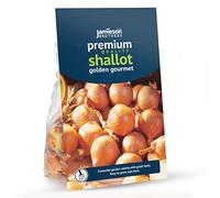 Golden Gourmet Shallot Sets - 32 pack Bulb Size 7/15 - Grow Your Own Shallots - for Cooking, Salads, Garnish & Casseroles - Ready to Plant Now - By Jamieson Brothers